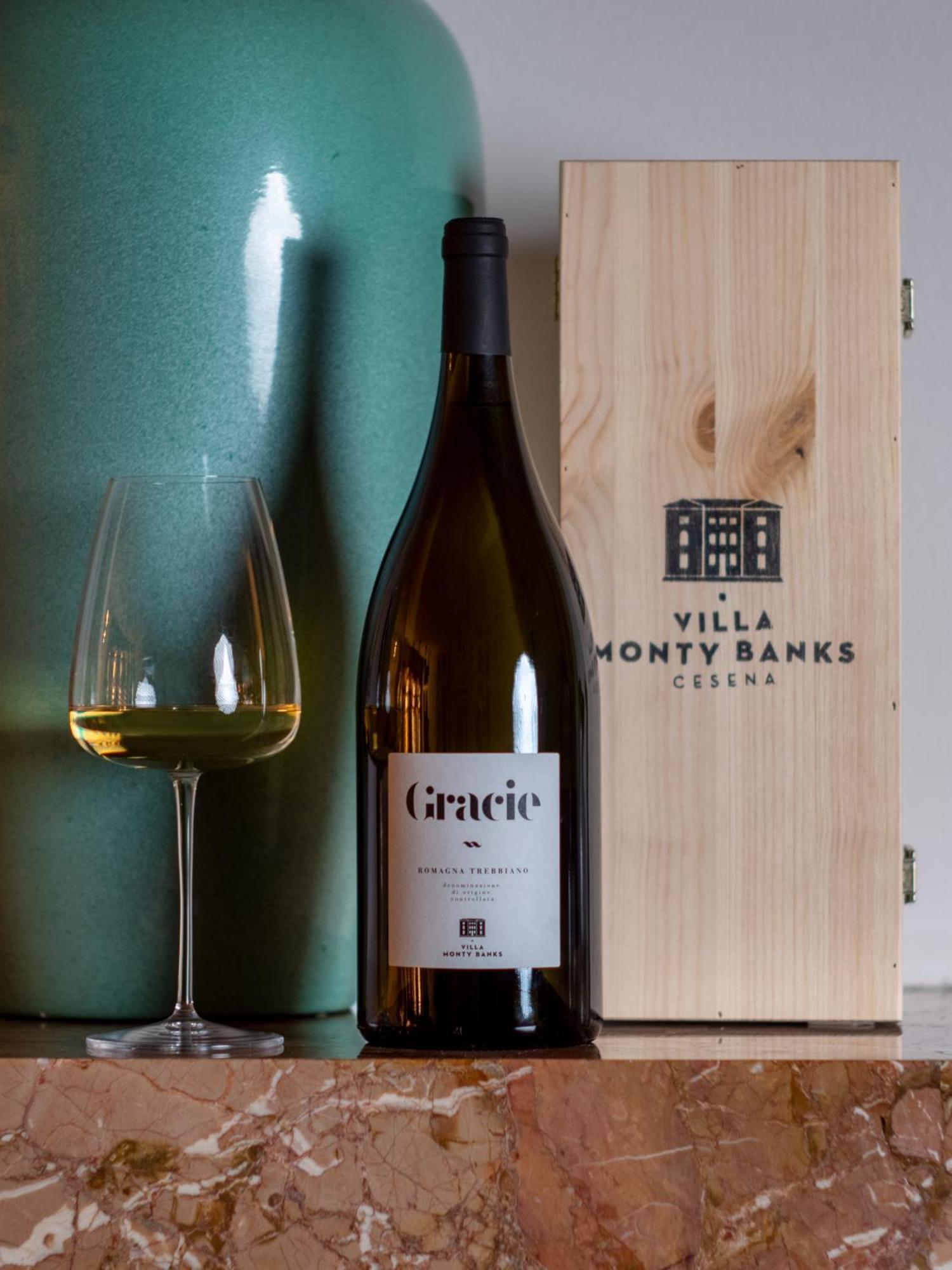 Villa Monty Banks Cesena